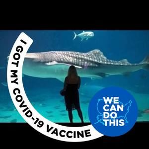 Meet your Posher, Trisha